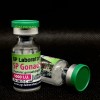 SP Gonadotropin 5000